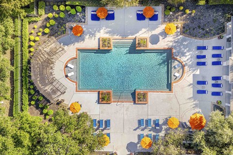 An aerial view of a swimming pool surrounded by trees and sun loungers.