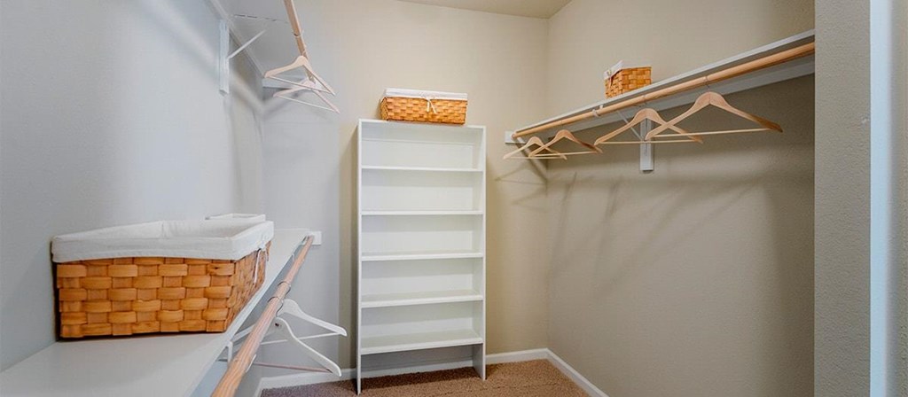 a walk in closet with shelves and a ladder