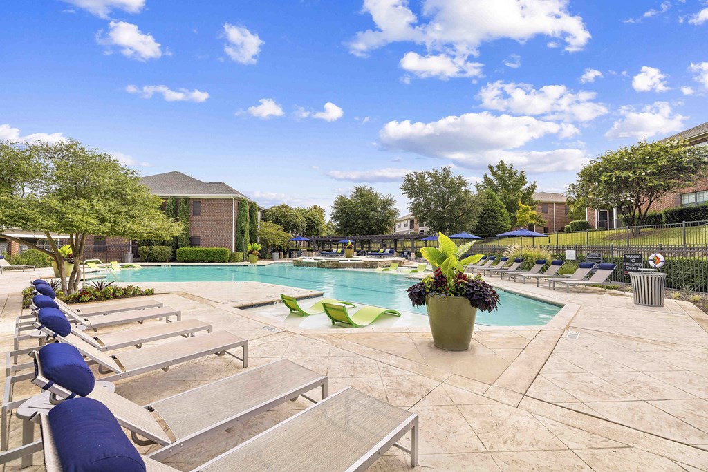 A pool area with sun loungers and a large potted plant.