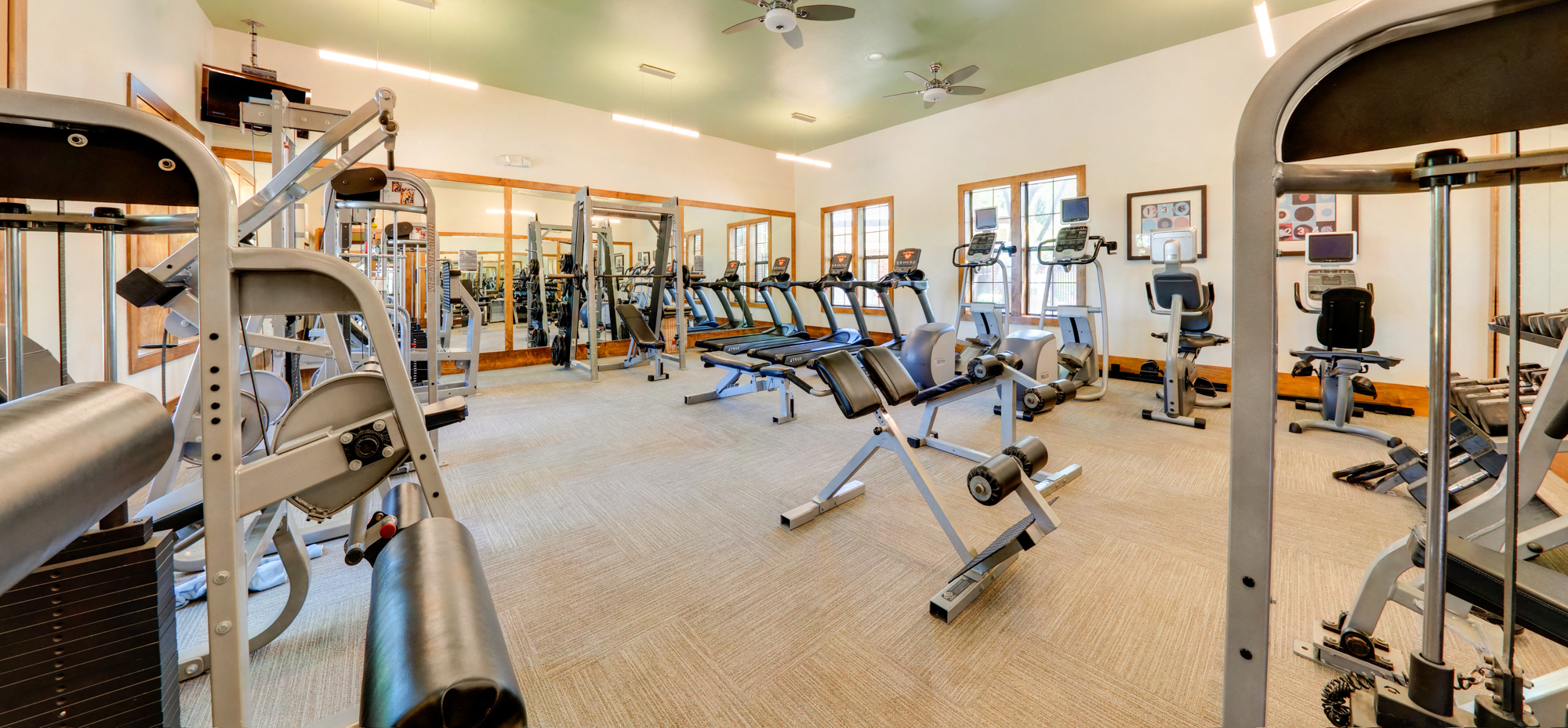 a fitness center with cardio equipment and weights in a home gym