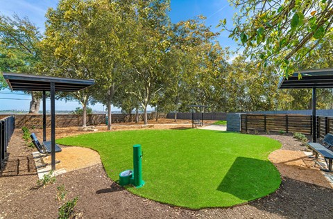 a park with green grass and benches and trees