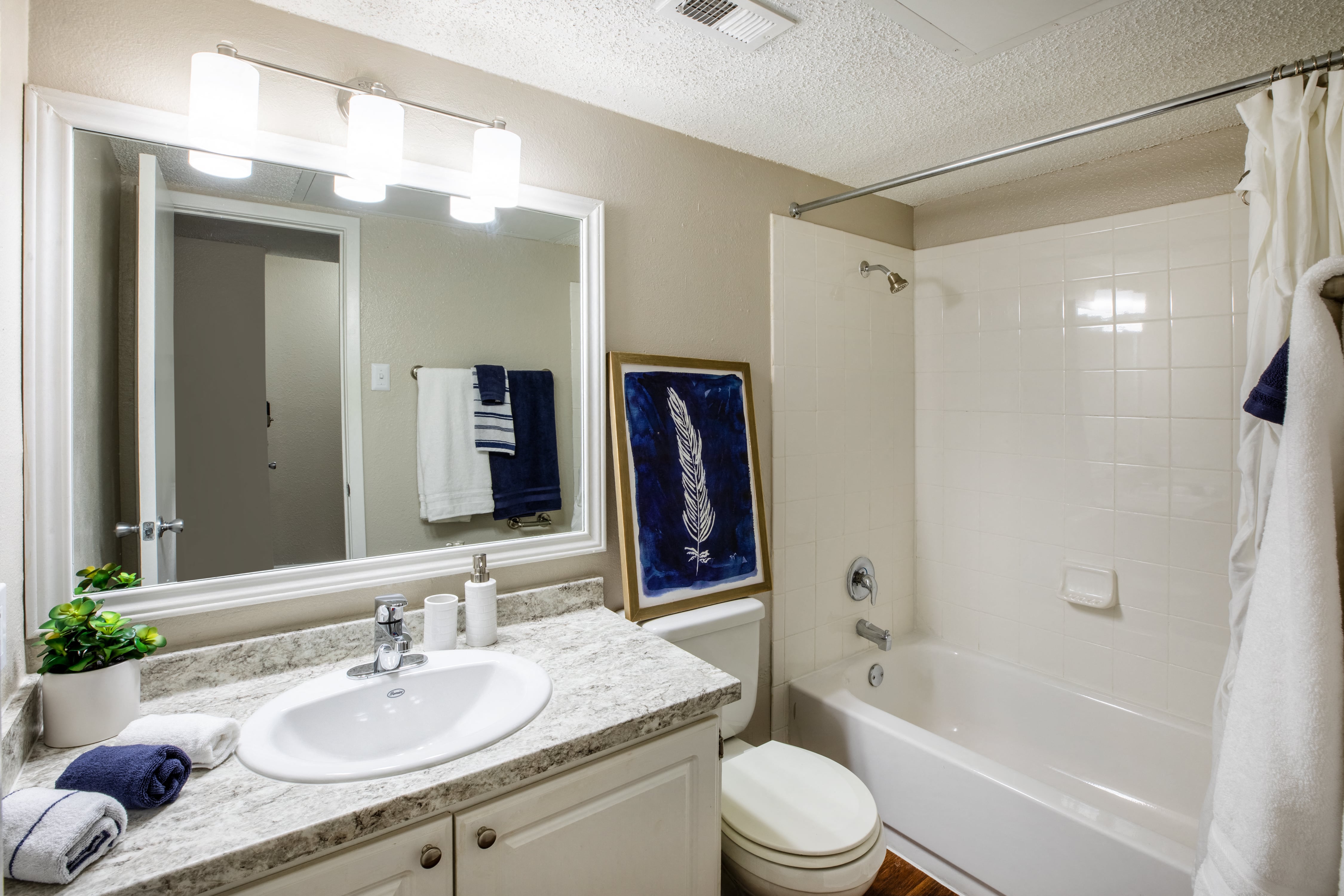 the preserve at ballantyne commons apartment bathroom with tub sink and mirror