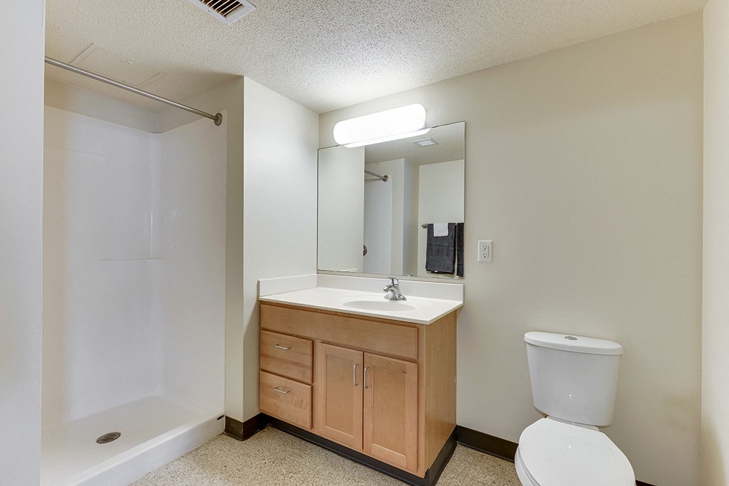 a bathroom with a sink toilet and a shower
