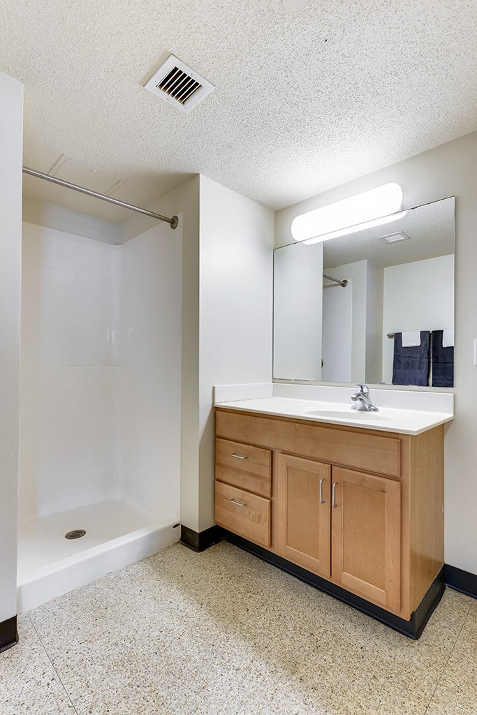 a bathroom with a sink and a shower and a mirror