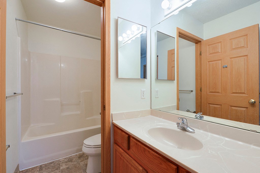 a bathroom with a mirror and a sink and a toilet