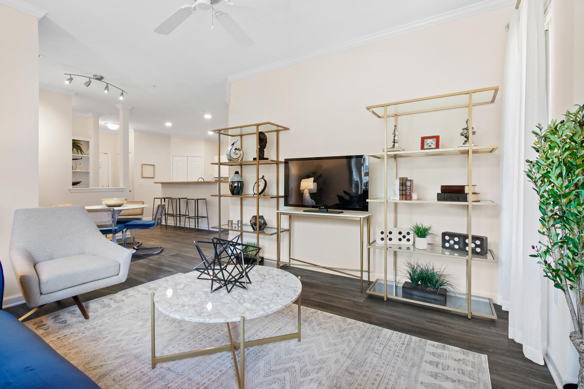 A living room with a white rug and a white sofa.