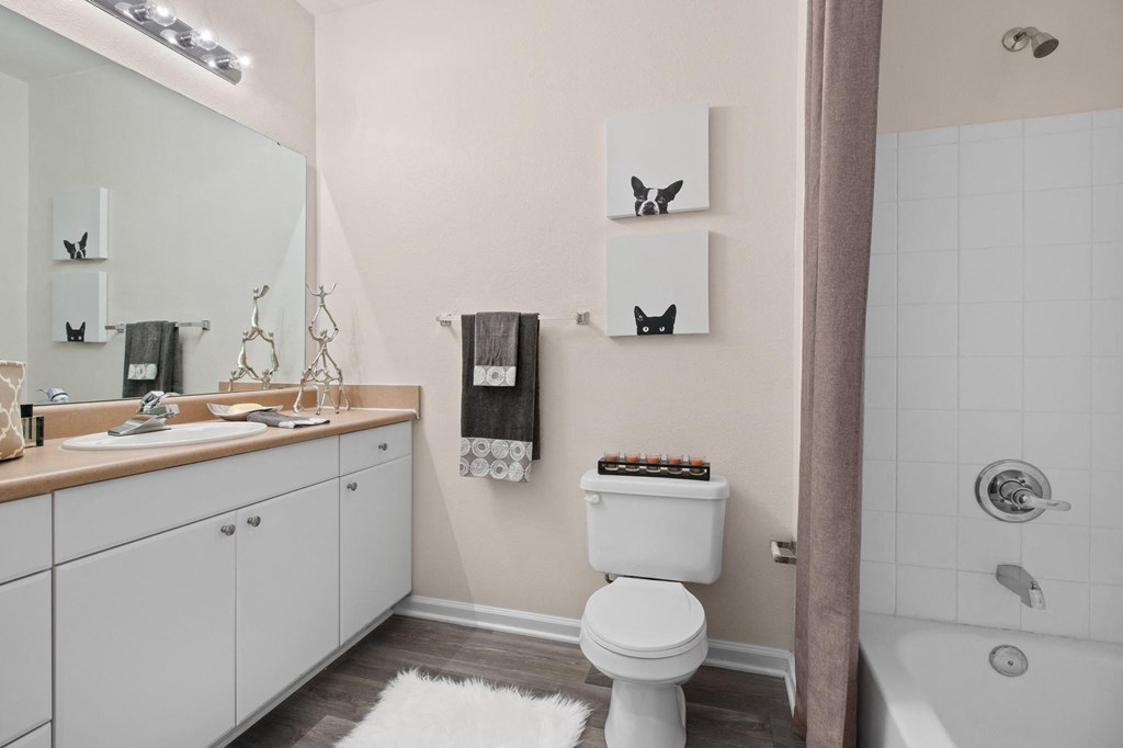 Master bathroom at Alden Place at South Square, Durham, NC
