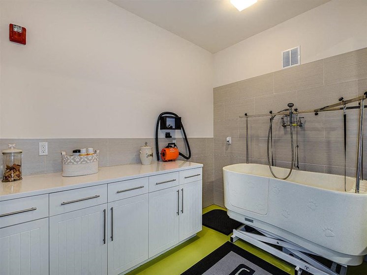Give your furry friend a bath and a treat at our pet grooming center! Available at EOS Apartments, Orlando, FL 32826