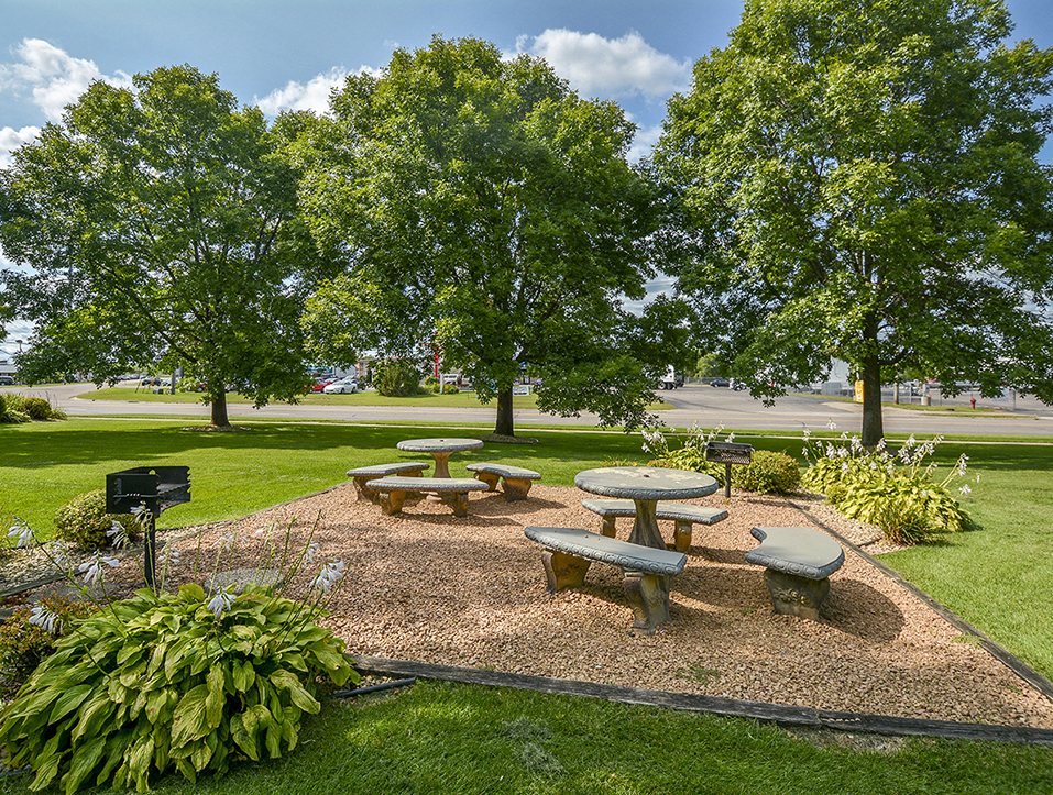 Outdoor Grilling and BBQ Area