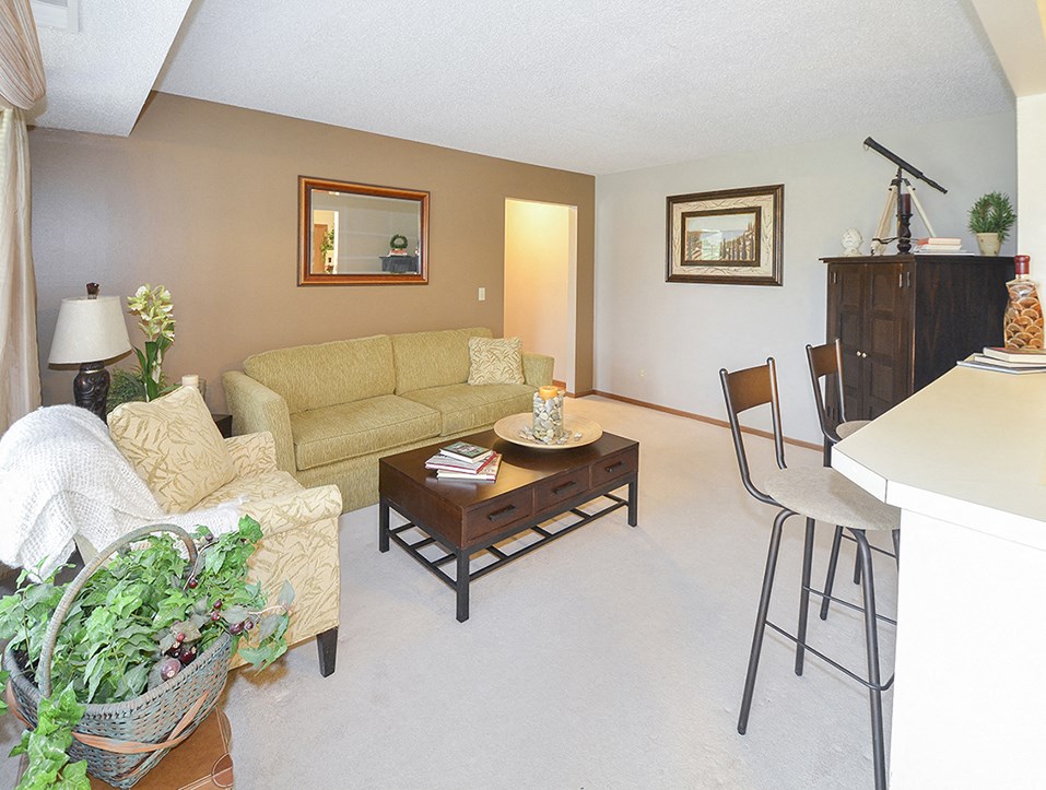 Carpeted Living Room and Breakfast Bar