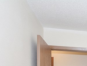 Bedroom with Sliding Closet Doors