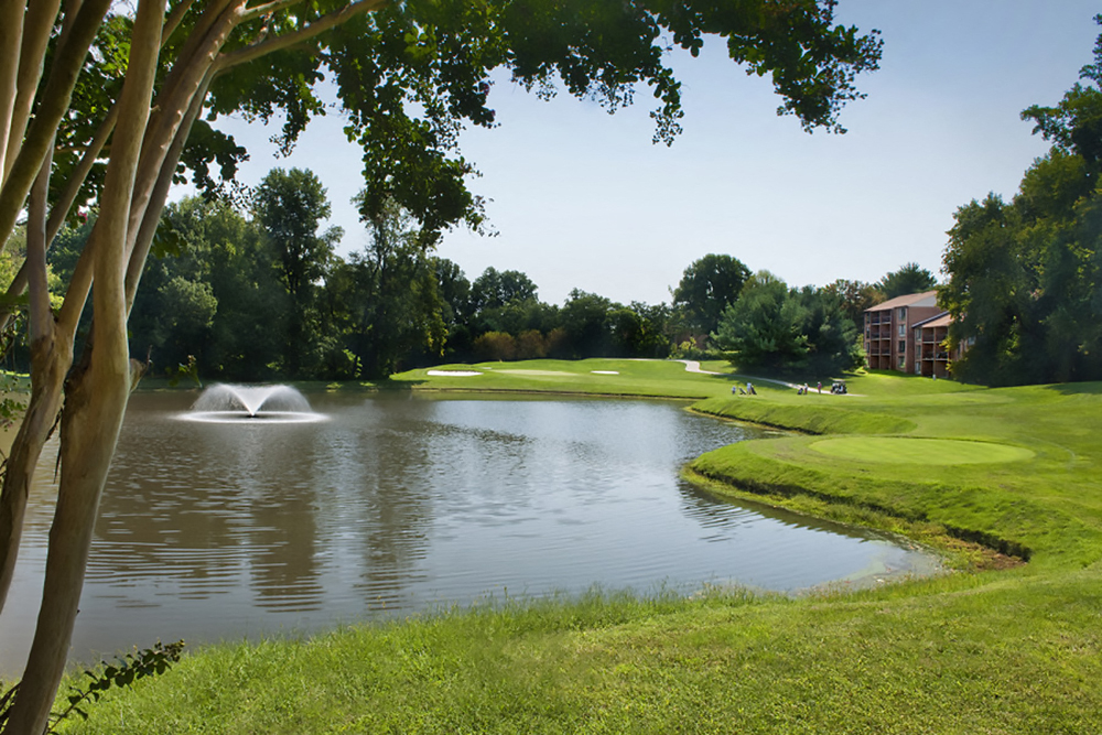 a view of a pond with a fountain in it