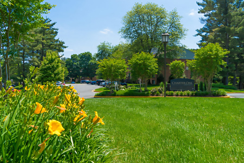 a park with green grass and yellow flowers in front of a building
