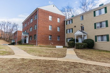 859 South Greenbrier Street Studio-2 Beds Apartment for Rent - Photo Gallery 3