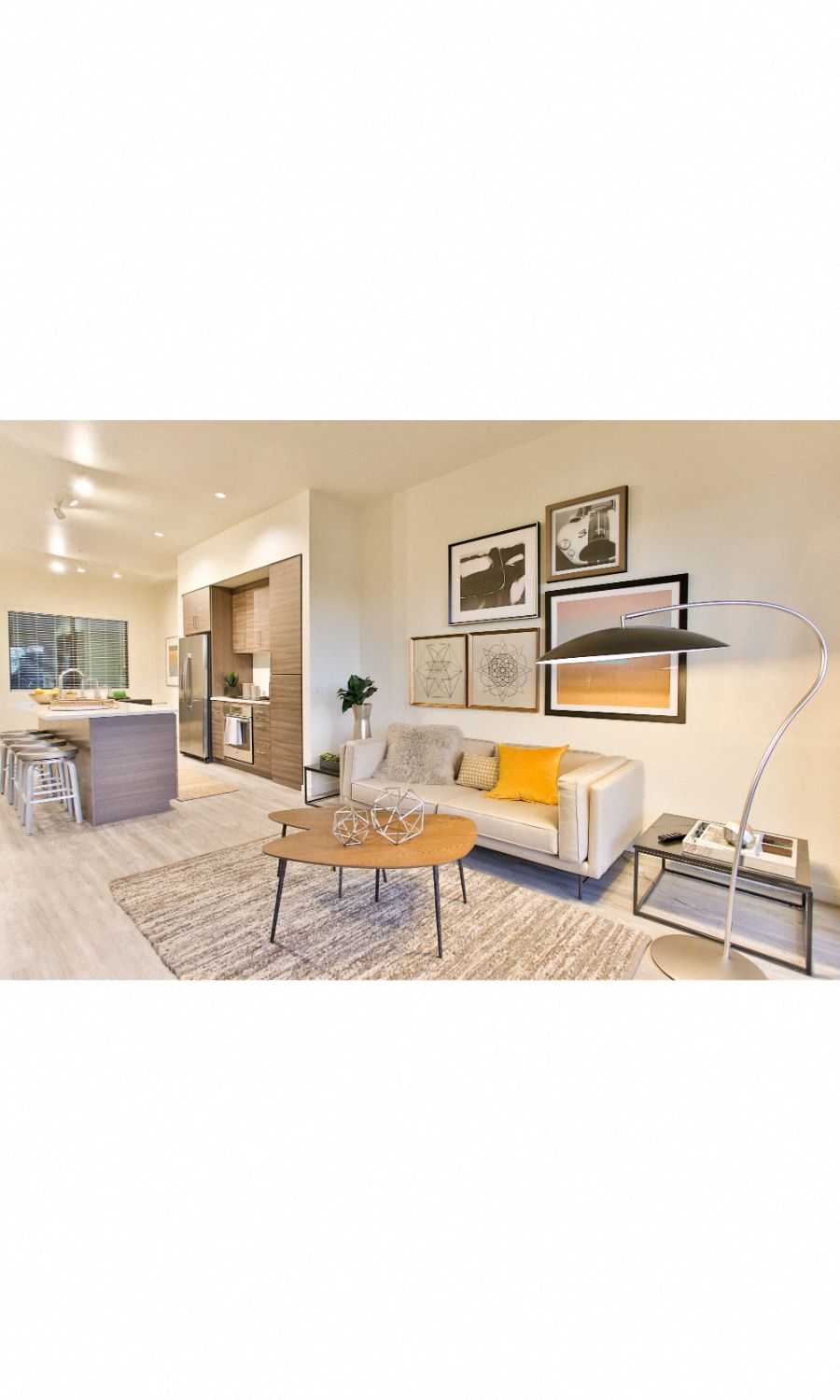 Living Room and Kitchen