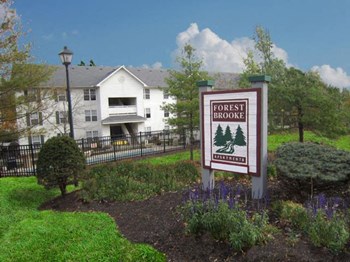 1493 Forest Brooke Way 2 Beds Apartment for Rent - Photo Gallery 2