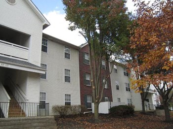 1493 Forest Brooke Way 2 Beds Apartment for Rent - Photo Gallery 4