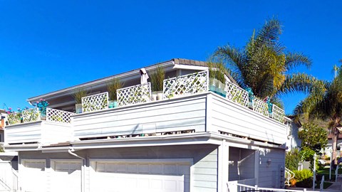 a white house with a palm tree next to it