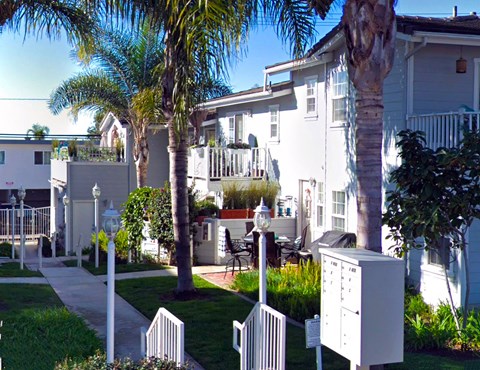 a row of white apartments with palm trees and a sidewalk
