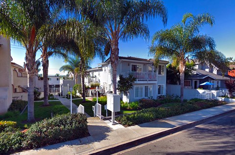a street with palm trees in front of houses