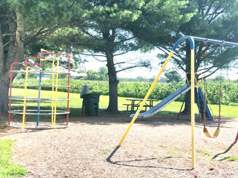 A playground with a yellow slide and a red and yellow climbing frame.
