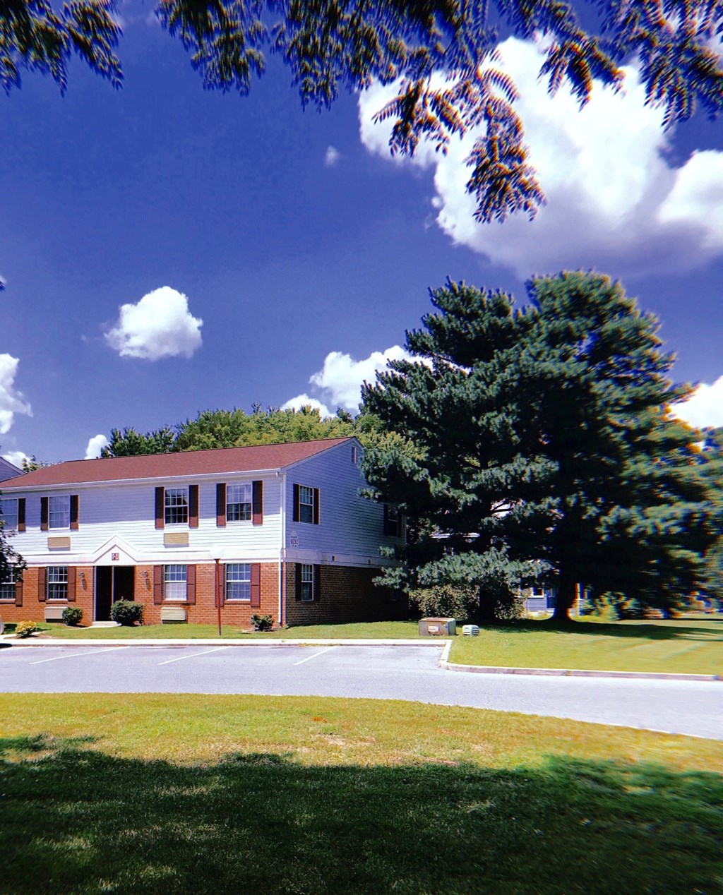 a large white building with a tree in front of it