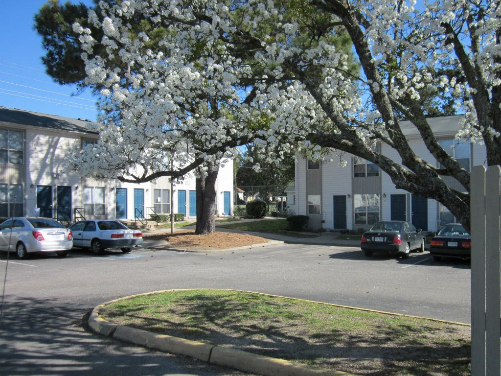 a parking lot with flowering trees in front of a building
