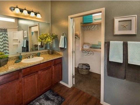a bathroom with a sink and a mirror