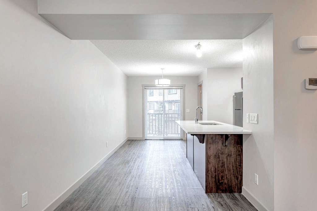 A kitchen area with a counter and a window.