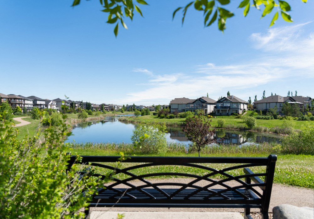 a park bench overlooking a pond with houses in the background