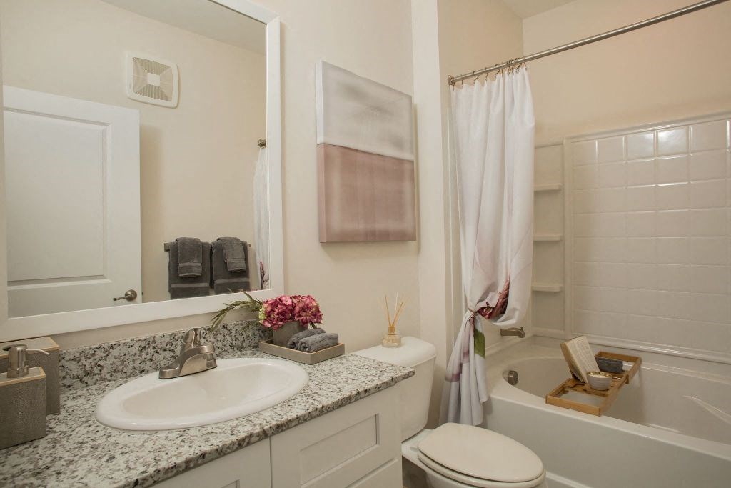 a bathroom with a sink and a toilet and a bath tub