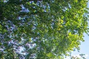 The Residence at White River | For Rent Indianapolis