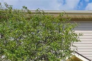 Exterior of Steeplechase at Shiloh Crossing Apartments in Avon, IN