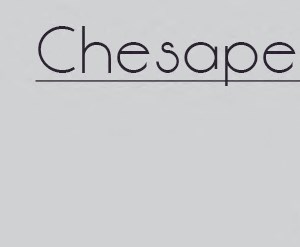 Chesapeake + Den Unit Floor Plan