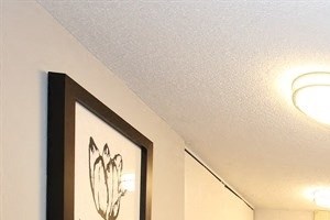 Interiors- 215 Oak Grove Street 1-2 Beds Apartment for Rent - Photo Gallery 2