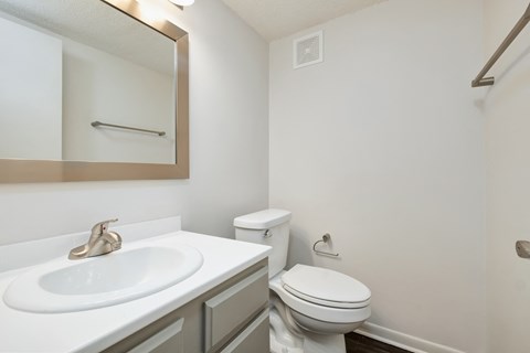 a bathroom with a sink and a toilet and a mirror