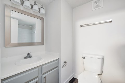 a bathroom with a toilet and a sink and a mirror