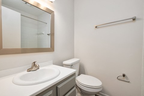 a bathroom with a sink and a toilet and a mirror