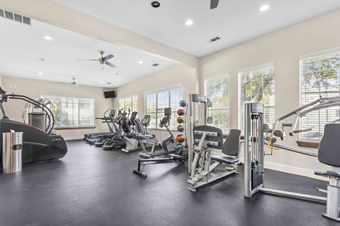 A spacious gym with a variety of equipment including treadmills, stationary bikes, and weight machines.