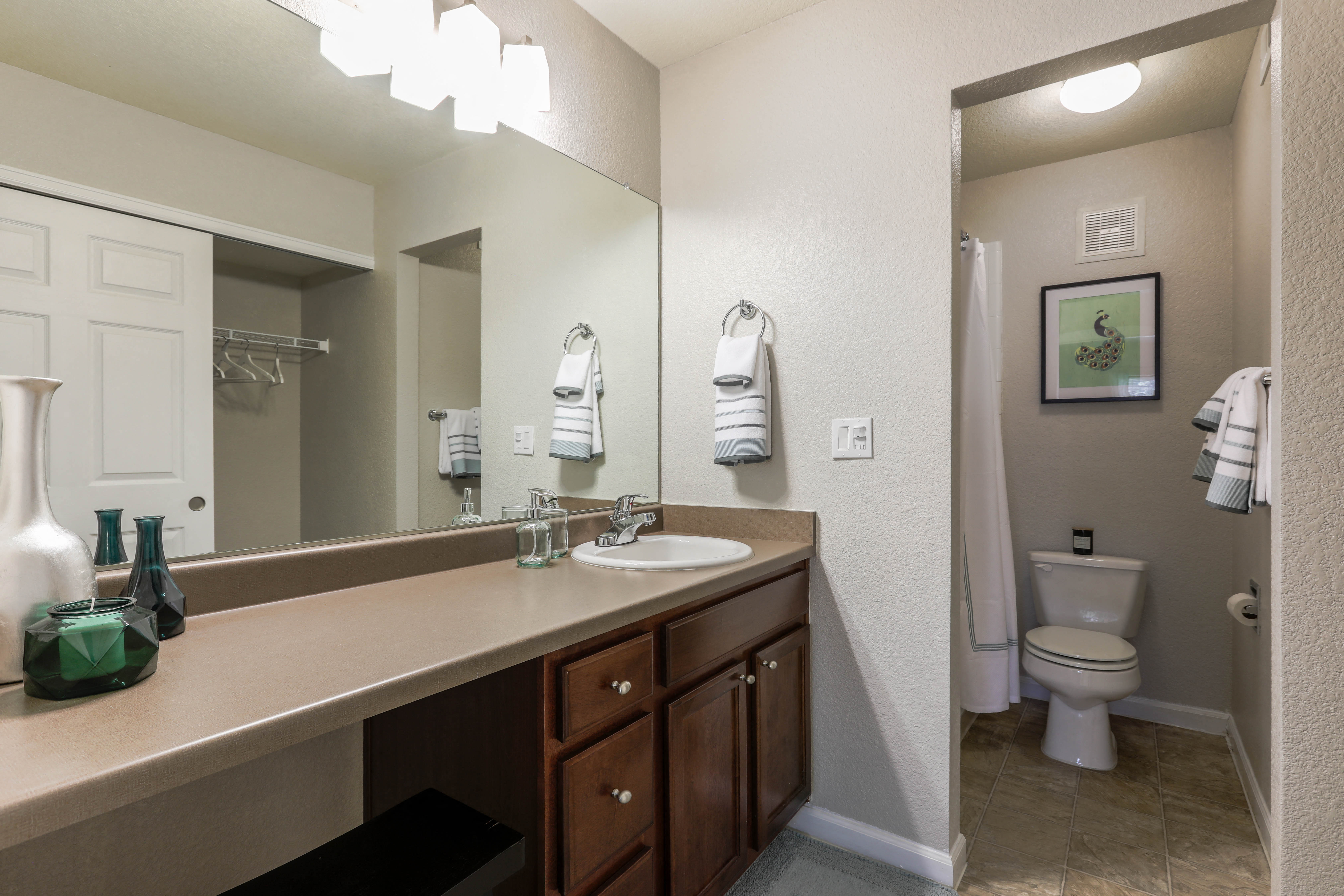 Copper Flats - Bathroom with Large Countertop, Huge Mirror, and Separate Space for Toilet and Shower