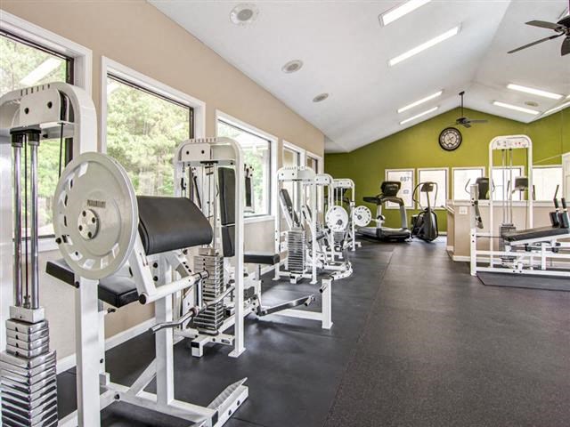 a gym with a bunch of weights and other exercise equipment