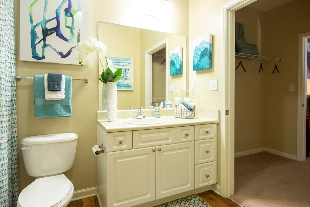 a bathroom with a sink toilet and a mirror