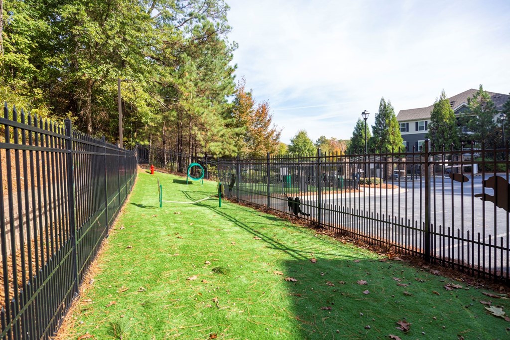 the preserve at ballantyne commons dog park with fence and grass