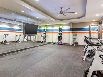 Gym - Photo Gallery 5