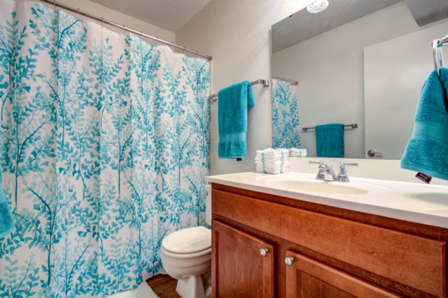 bathroom: sink, toilet, and shower