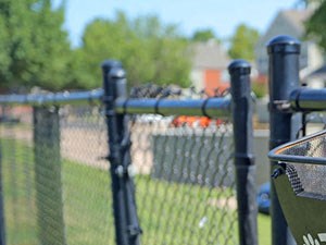 Dog park with toys