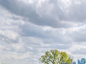 Rooftop Lounge Luxury North Nashville Apartments for Rent