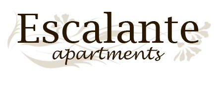 San Antonio Property Logo 28