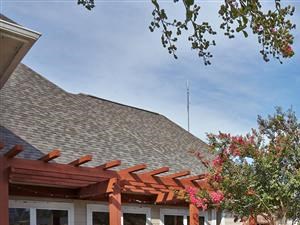 Courtyard with walking paths