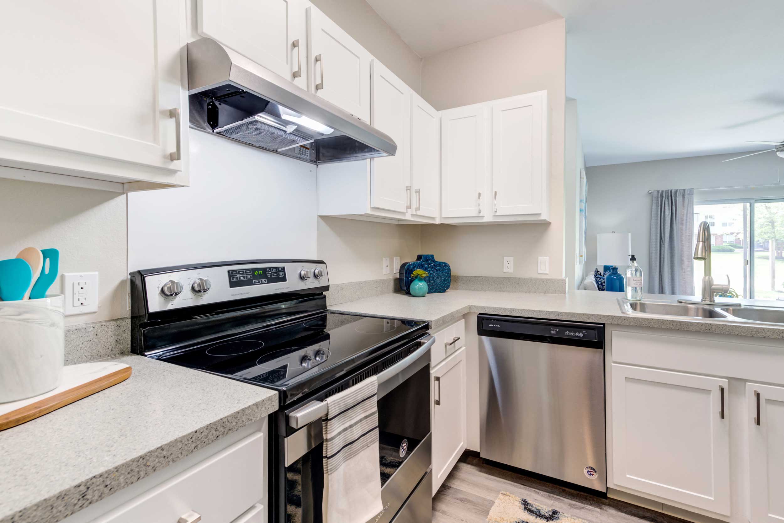 A modern kitchen with a stove top oven and a dishwasher.